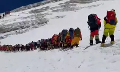 Record 275 Climbers Summit Everest in Single Day, Renewing Overcrowding Fears