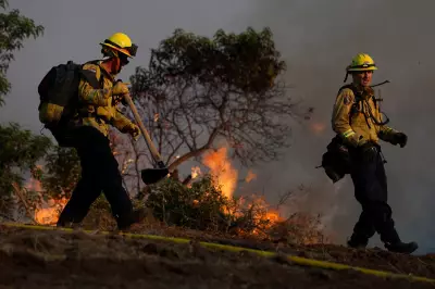 Sandy Fire in Southern California Forces 17,000 to Evacuate Amid Santa Ana Winds