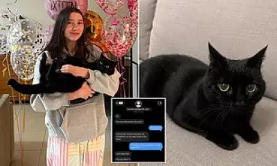 Scammer Uses AI Cat Photos to Extort Teenager for Missing Pet