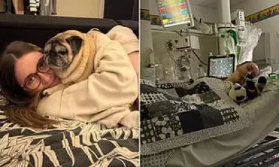 Schoolgirl, 14, Left Paralyzed After Flu Triggers Spinal Stroke