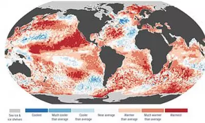 Scientists Warn of 'Extraordinary Extreme Weather' Later This Year as El Niño Looms