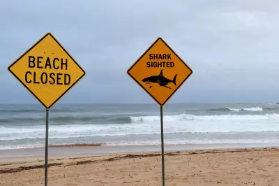 Second Fatal Shark Attack in Two Weeks Strikes Australia's Queensland Coast