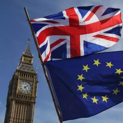 Should Brexit Be Reversed? Take Our Poll and Have Your Say