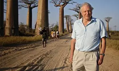 Sir David Attenborough's 100th Birthday: Top Wildlife Destinations from His Career