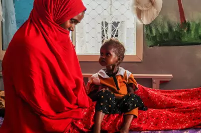 Somalia Faces Severe Drought with Little Humanitarian Aid