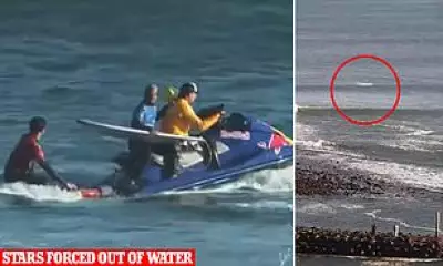 Surfing event halted after photographer bitten by mystery sea creature