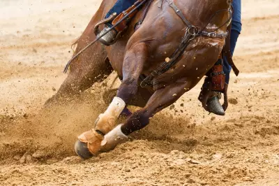 Teen Barrel Racer Arrested for Stabbing Horses at Las Vegas Event
