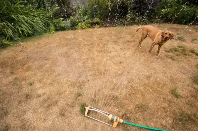 Thames Water Urges Millions to Stop Using Hosepipes Amid Heatwave