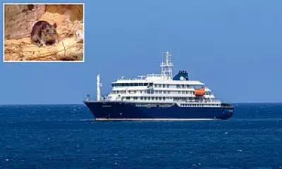 Three Dead in Suspected Hantavirus Outbreak on Cruise Ship Off Africa