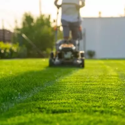 Three Simple Steps for a Perfect Lush Lawn This Summer