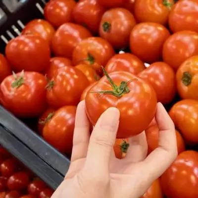 Tomato Price Warning: Summer Harvest Could Hike Costs