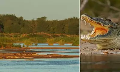 Tourists Found Stabbed to Death in Crocodile-Infested River at Kruger Park