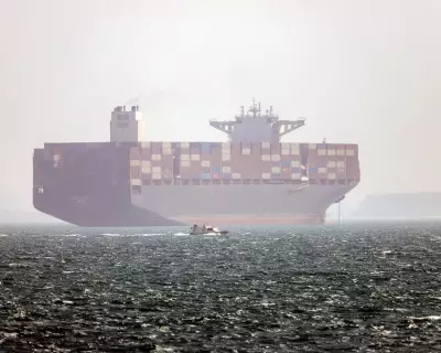Trump Pauses 'Project Freedom' in Strait of Hormuz, Hopes for Iran Deal