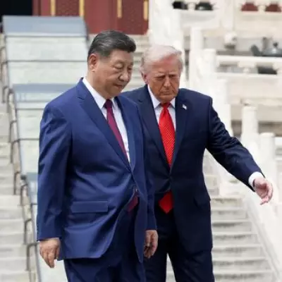 Trump-Xi Meeting Descends into Chaos as Brawl Breaks Out