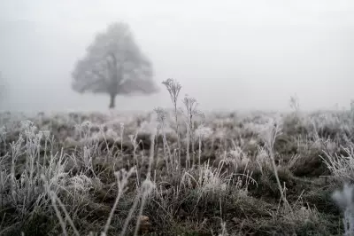 UK Braces for Arctic Blast: Temperatures to Plunge to -5C This Week