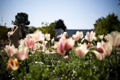 UK Temperatures Could Reach Mid-20s by Late May Bank Holiday