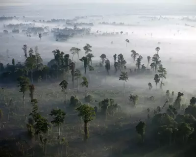 UK's Darwin Initiative Slashed: 89 Countries Lose Biodiversity Funding