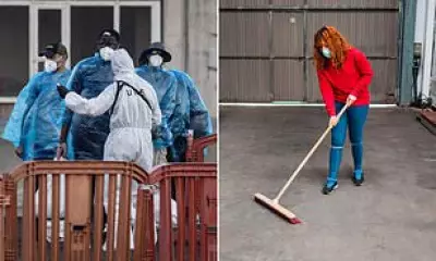 Unexpected Hantavirus Exposure Risks: CDC Warns of Hidden Dangers in Homes