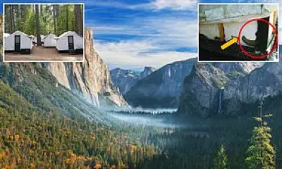 US Monitors 41 for Hantavirus After Cruise Outbreak, Recalls 2012 Yosemite Scare