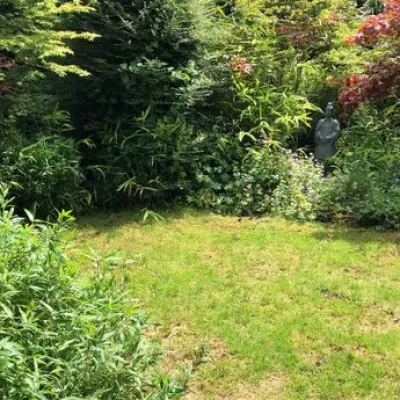 Use Epsom Salt for Thicker, Greener Grass This Spring