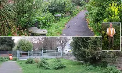 Volunteer's Award-Winning Garden Destroyed After Single Complaint