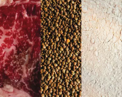 Weighing the Pros and Cons of Popular Protein Sources