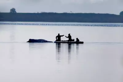 Whale Expert: Why Stranded Humpback Timmy Should Have Been Euthanised