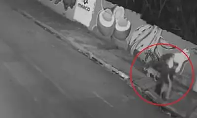 Woman Plunges into Manhole While Walking Dog in Brazil