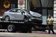 1.7 Million Animal Collisions Cost US Economy $10 Billion Annually