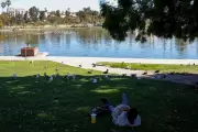 18 Arrested in LA Park Drug Bust, Fentanyl Seized
