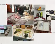 24 Hours Without Oil: Australians Try a Plastic-Free Day