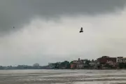 89 Dead in Northern India as Freak Hailstorm and Rain Strike