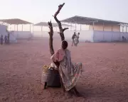 Aid Sector at Breaking Point: Dinosaurs Must Adapt or Die