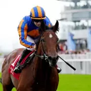 Aidan O'Brien: Derby second favourite's Epsom run not guaranteed
