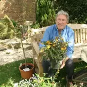 Alan Titchmarsh: 3 Plants Birds 'Love' for Your Garden