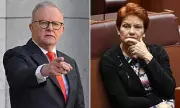 Albanese Approval Improves as Labor Gains Trust on Key Issues