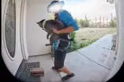 Amazon Driver Accused of Stealing Family Cat in Bakersfield