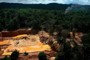 Amazon Indigenous Groups Urge UN to Fight Crime Without Militarization