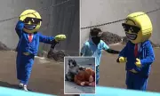 American Tourist Dressed as Emoji Jumps Into Monkey Enclosure in Japan, Arrested