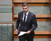 Angus Taylor Unveils Tax Plan as Coles Faces Record Fines
