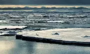 Antarctica Hit by Triple Whammy of Climate Chaos, Sea Ice at Record Lows