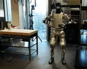 Anthropic Co-Founder Predicts AI Nobel Prize Win Within Year