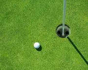 Ash Scattering Mishaps and Letters: From Golf Courses to Apple Trees