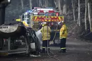 Australia Sues 3M for £1bn Over 'Forever Chemicals' in Firefighting Foam