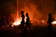 Blackout Protests and Butterfly Boom: Global Photos of the Day