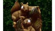 B&M's £20 Solar Squirrel Ornament 'Adds Light' to Gardens