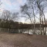 Body of Teen Boy Found in Lake After Swimming Incident