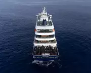 British Crew Member on Dutch Cruise Ship Diagnosed With Hantavirus