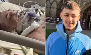 British Tourist in Thailand Fight for Life After Falling from Truck