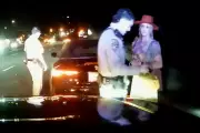 Britney Spears DUI Arrest Video Shows Lasagna Offer to Police